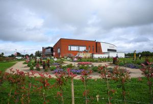 Athlone Regional Sports Centre