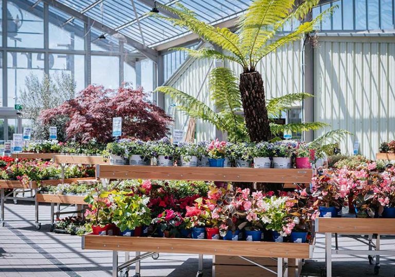 Fernhill Garden Centre Athlone