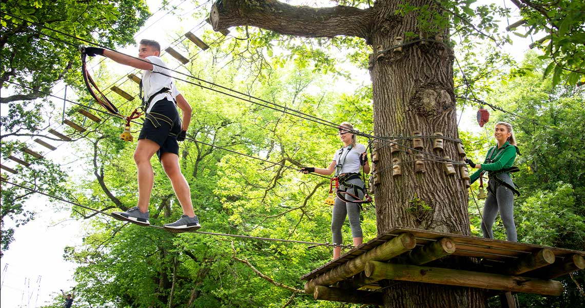 Friends walking along the high wire forest adventure park at Lough Key.
