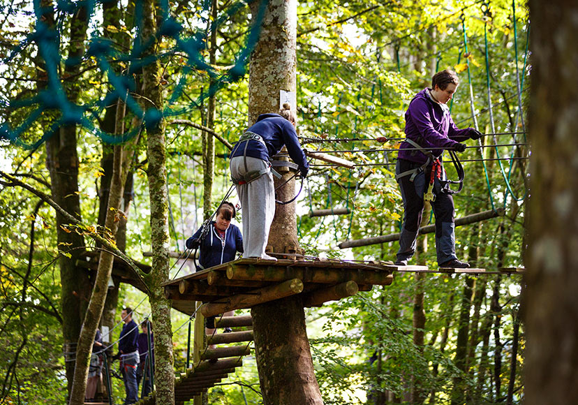 Group navigating the tree canopy zipline at Lough Key Forest Park.