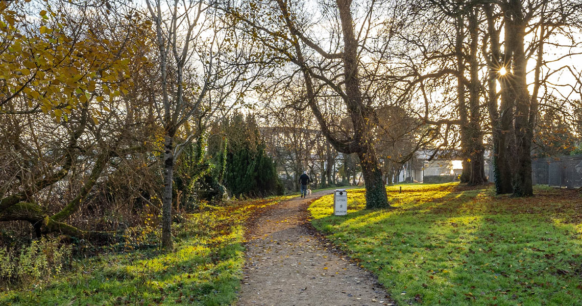 The Golden Mile