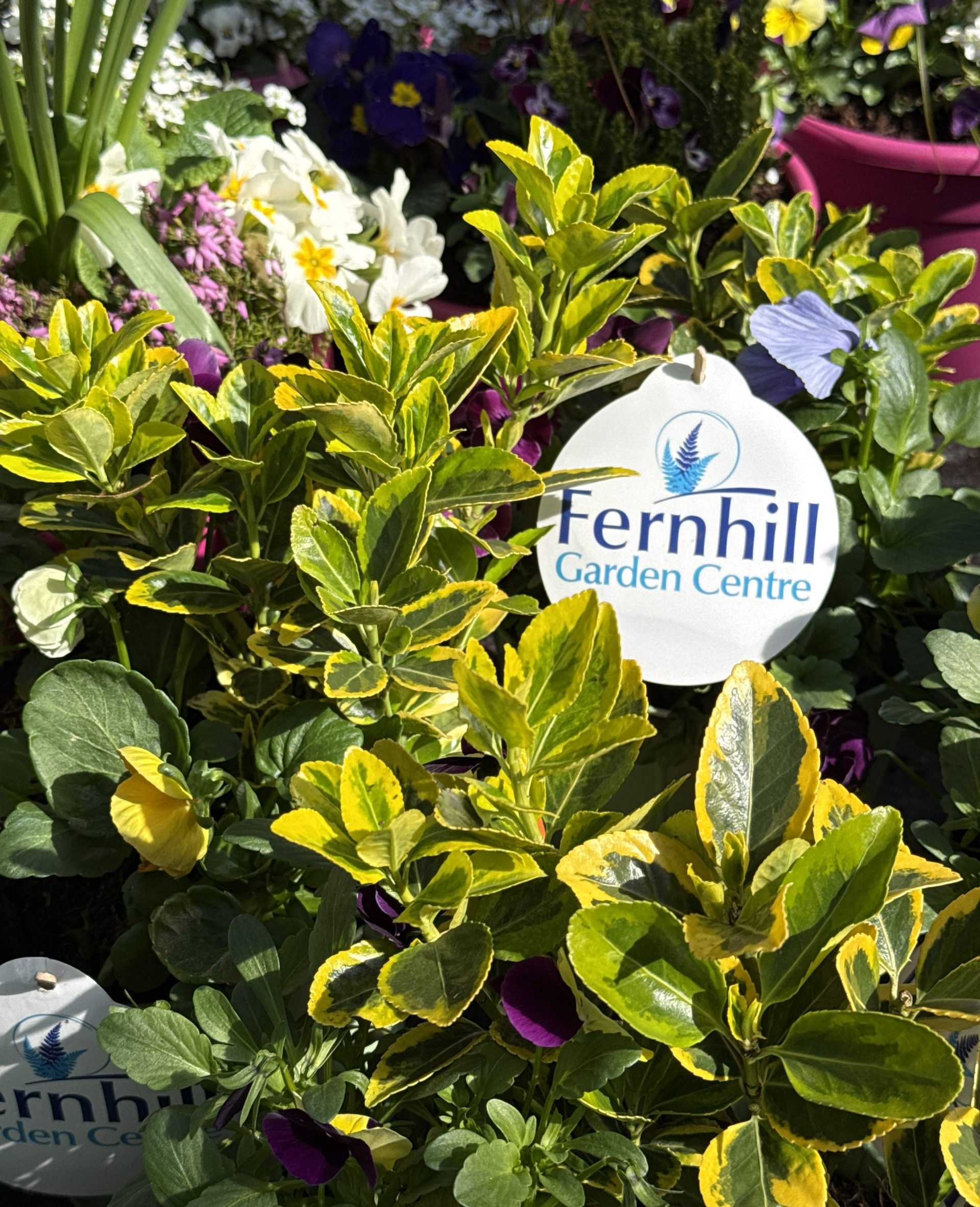 Fernhill Garden Centre