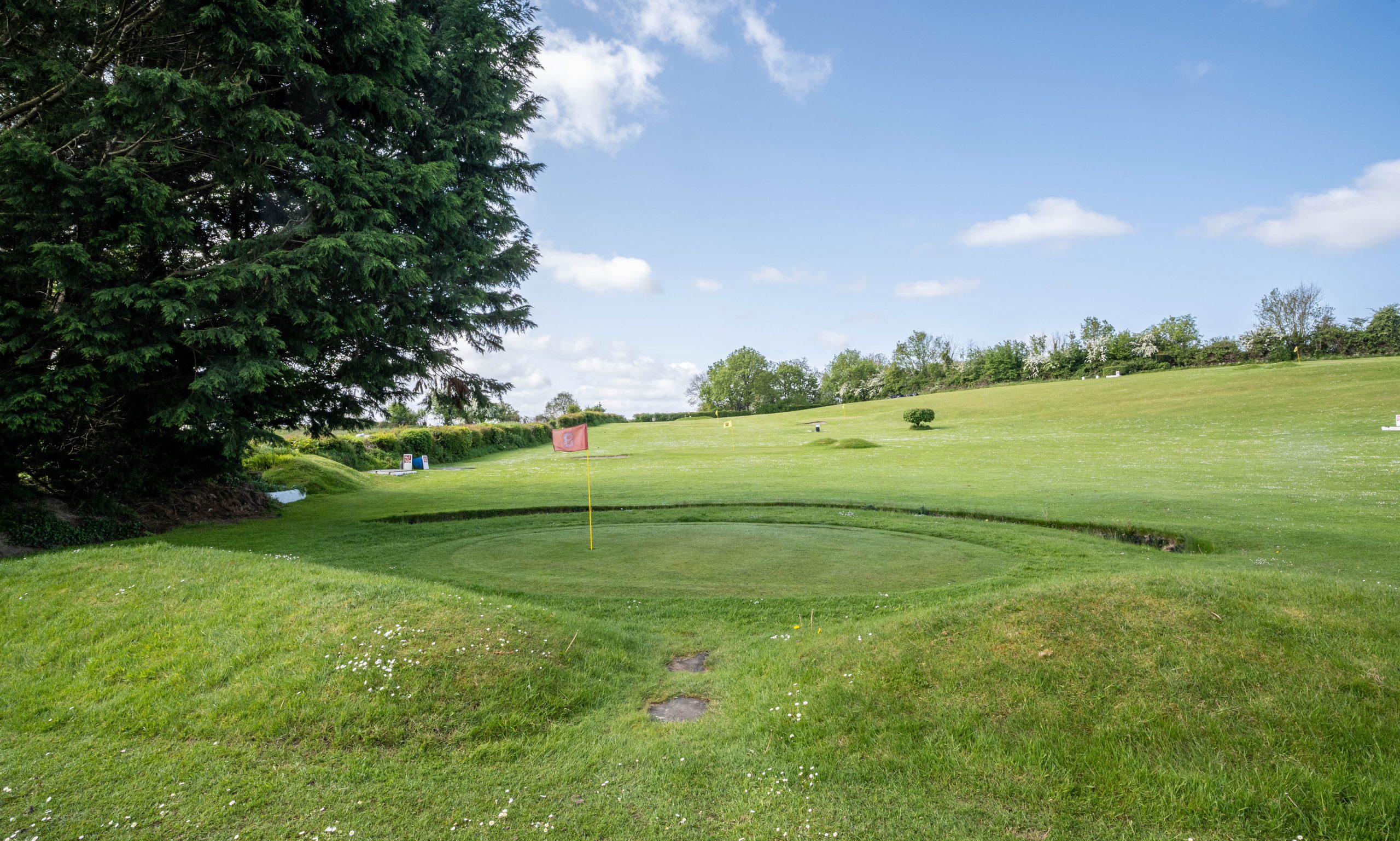 Woodview Country Club Pitch & Putt green 8