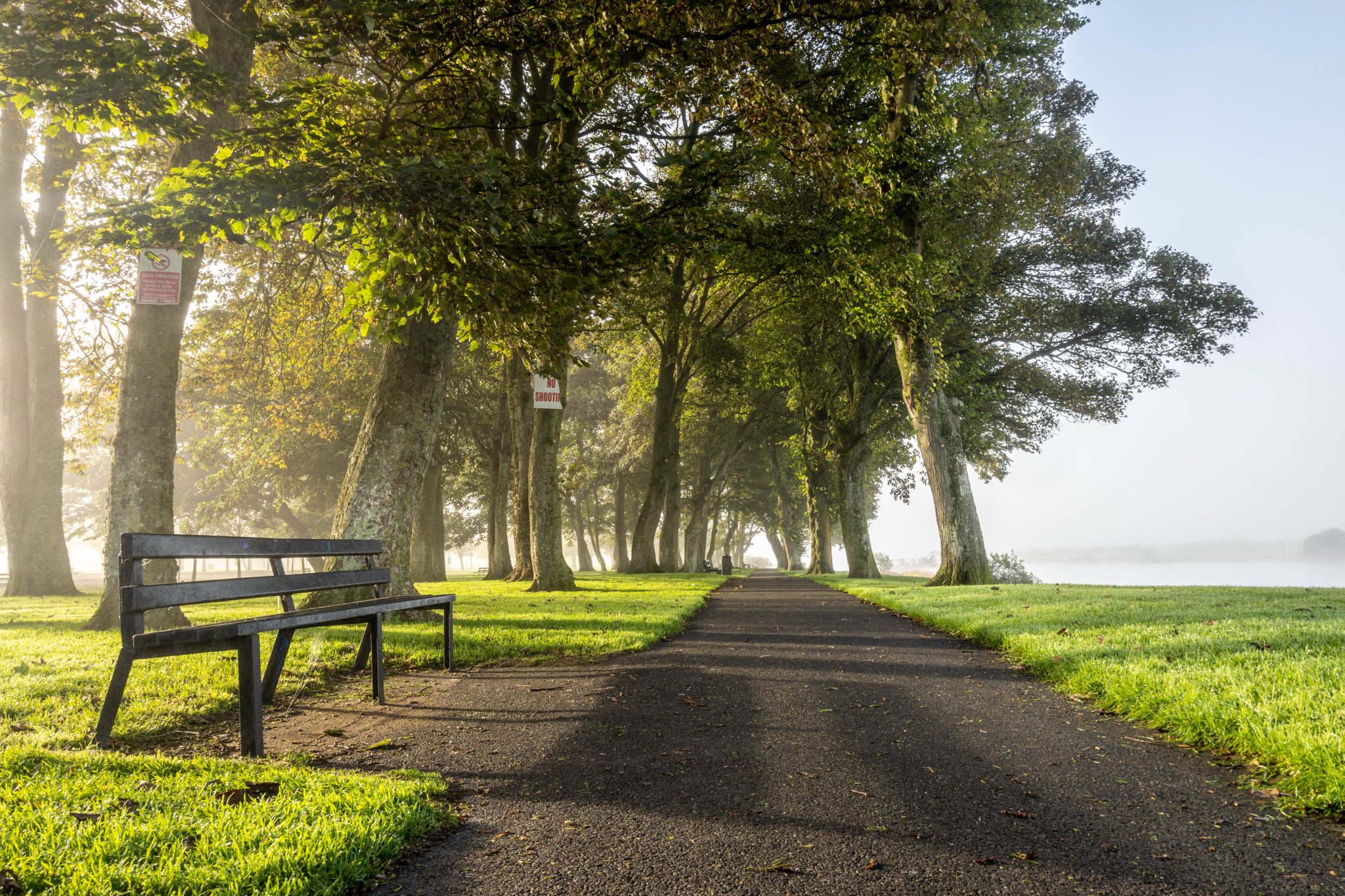 Burgess Park Athlone