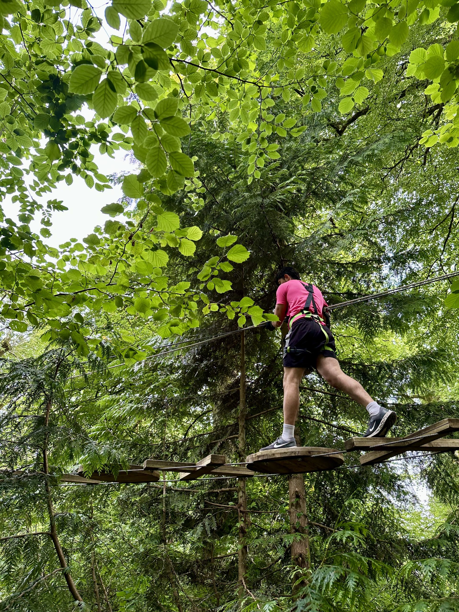 Lough Key Forest & Activity Park