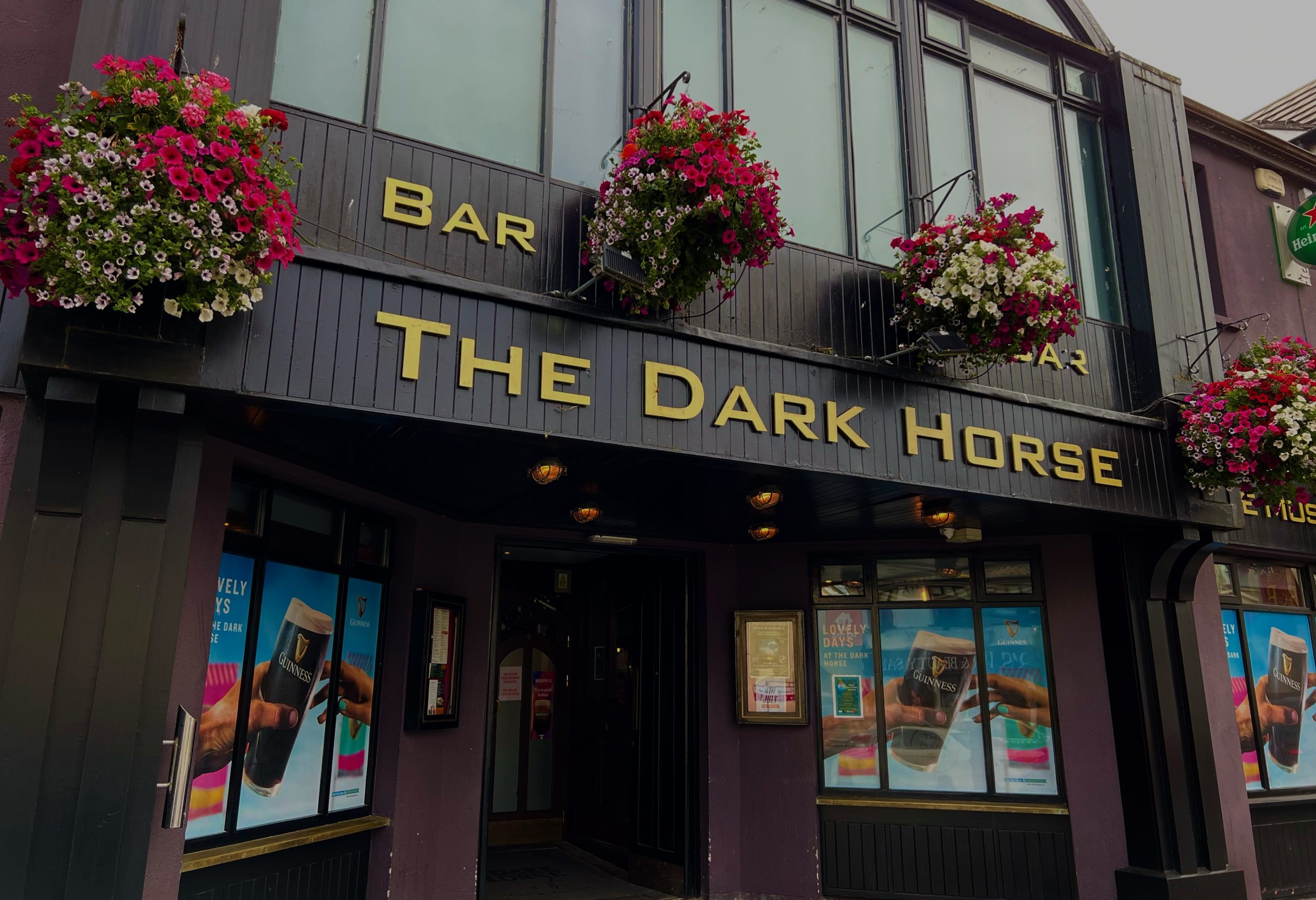 The dark horse athlone