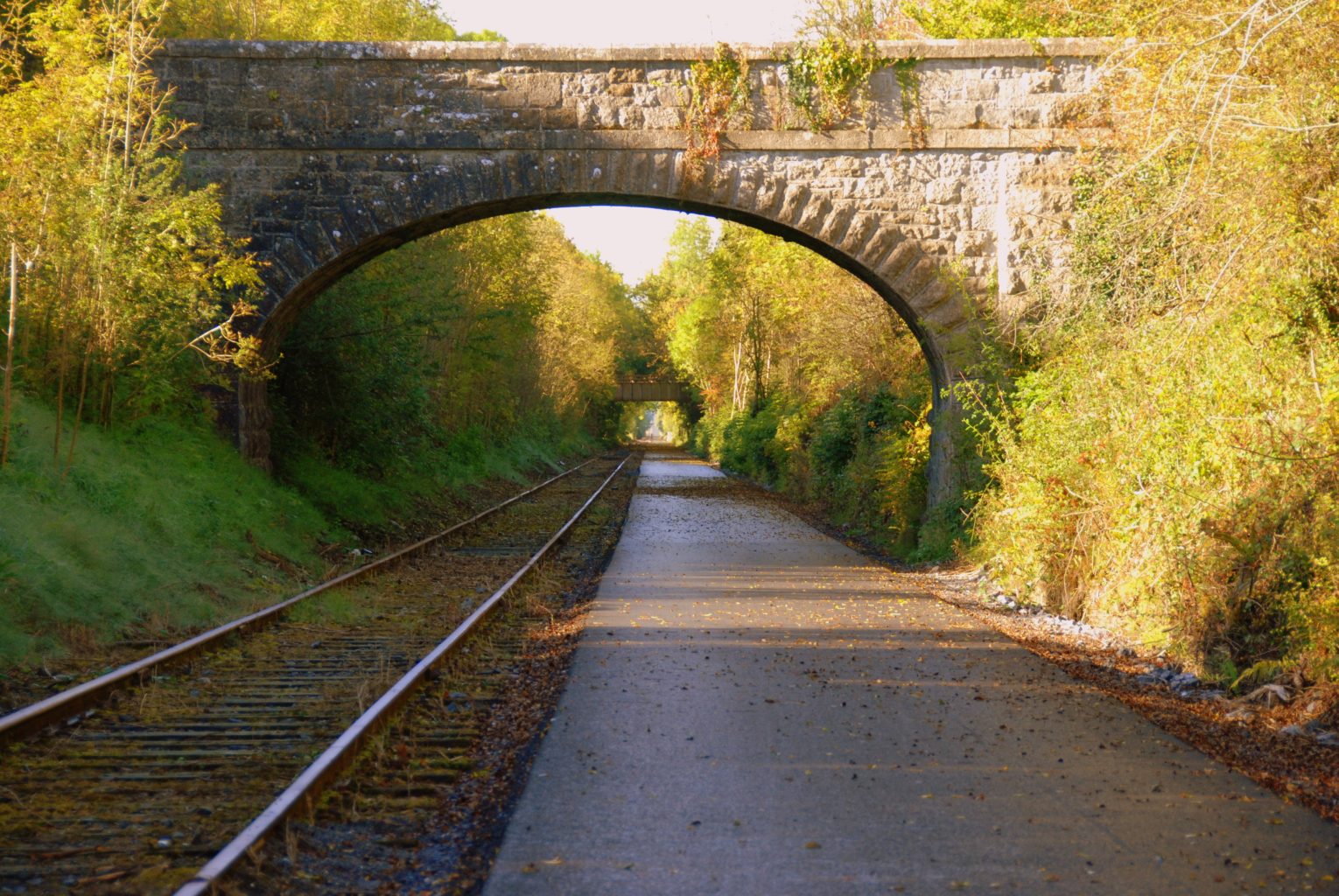After-School Activities in Athlone, autumn walks