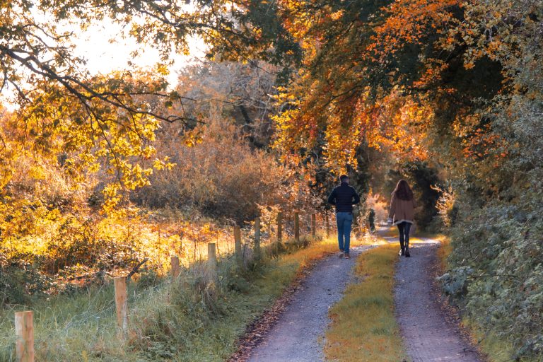 After-School Activities in Athlone, autumn walks