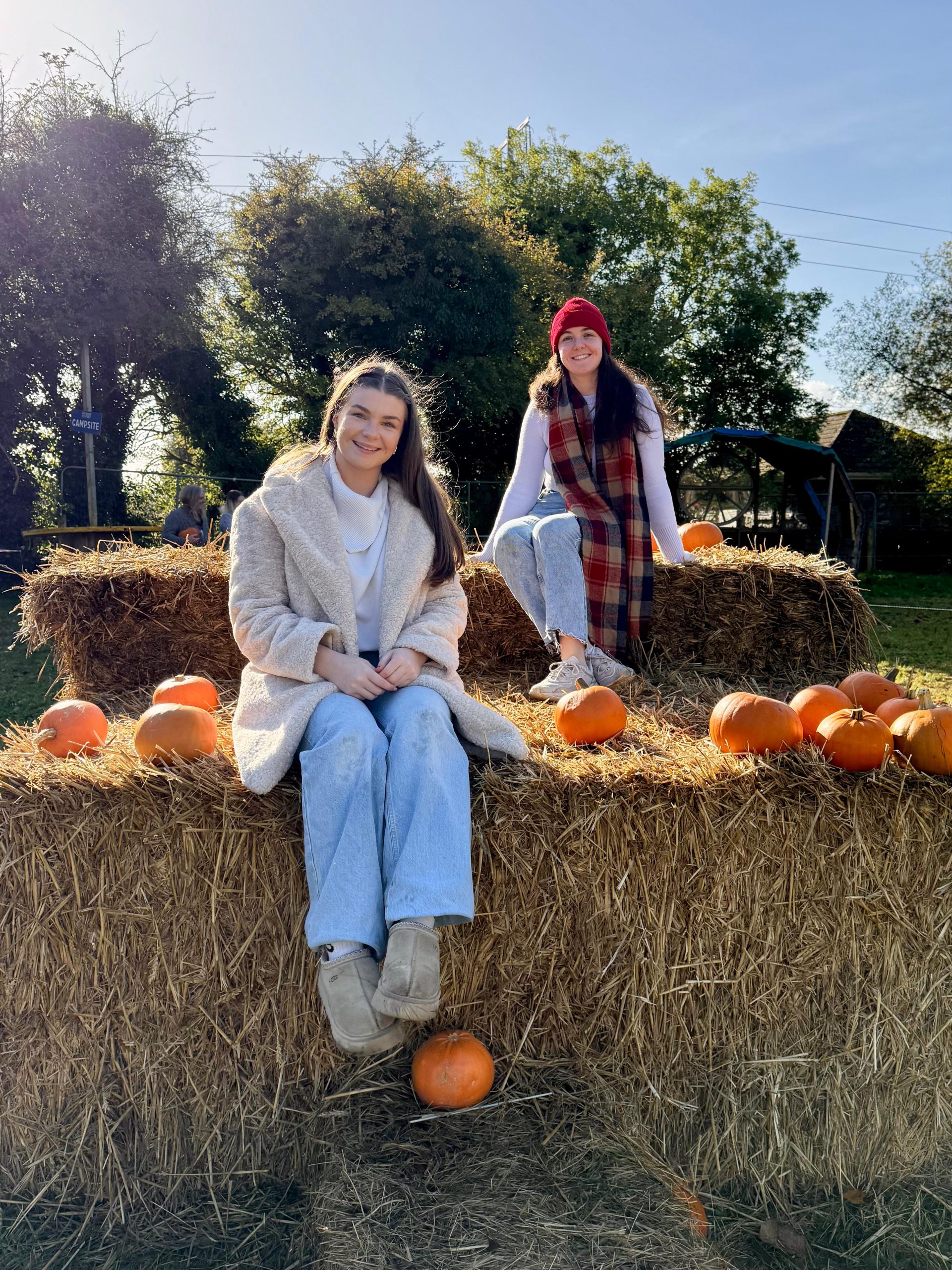 Lukers pumpkin patch